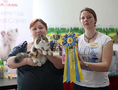   11-12  2015 WCF- 4-58-169A4694 copy.jpg